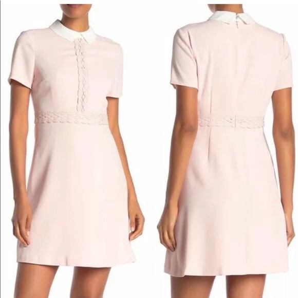 CeCe Dresses & Skirts - Blush pink Peter Pan  collar dress 10 NWT CeCe 👗